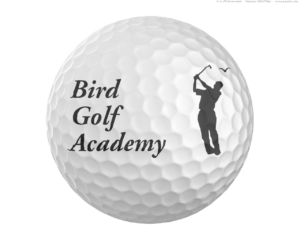 Best Golf Schools